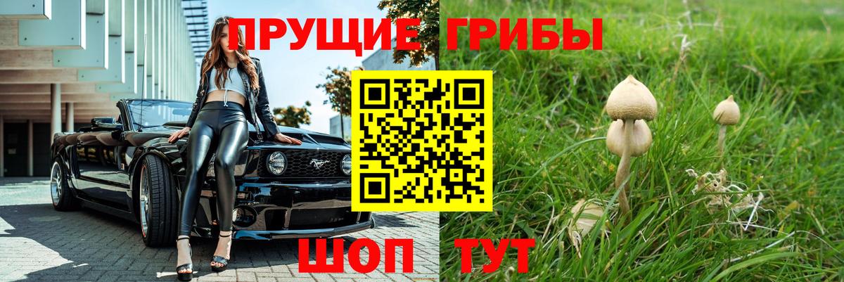 Галлюциногенные грибы Magic Shrooms  Псилоцибиновые грибы Psilocybine cubensis  Вход с VPN  Чусовой 
