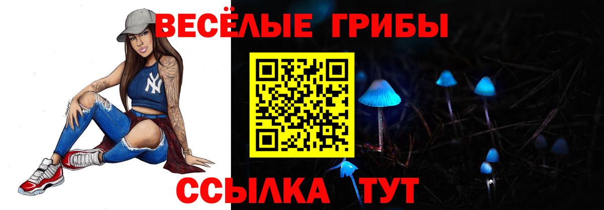 Псилоцибиновые грибы Psilocybe Чусовой